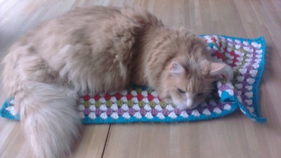 scheepjespittsburgh10