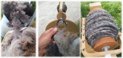 spinnen