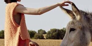 mouwloos topje breien