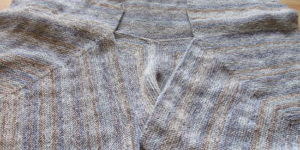 blauwvest