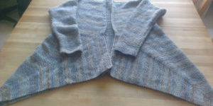 blauwvest3