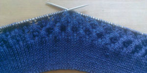 coolwoolvest4