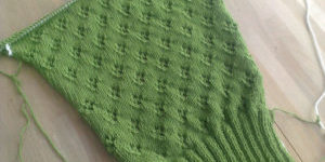 coolwoolzora