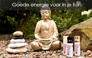 Budha gelakt met edding spuitbus