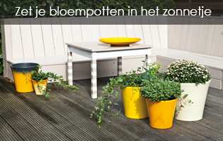 Zet je bloempotten in het zonnetje