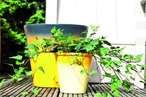 Geef je tuin kleur en lak je bloempotten