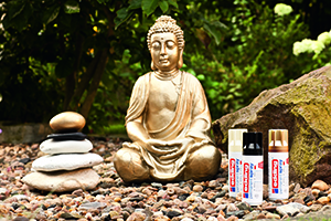 Serene sfeer met een budha in je tuin