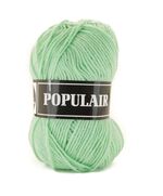 Beijer Populair 98 | dun 100% acryl garen | hobbygigant.nl