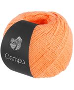 Lana Grossa Campo 14 | katoengaren met viscose en linnen | hobbygigant.nl