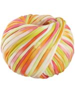 Lana Grossa Gelato 02 | kleurrijk chunky garen | hobbygigant.nl