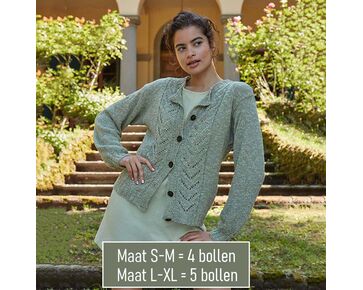 Damesvest breien - Wooladdicts Pride breipatroon