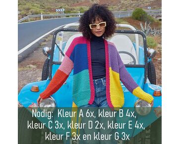 Damesvest Jill breien - Lang Yarns breipatroon