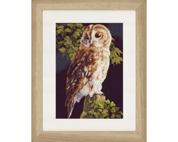 Lanartepakket borduurpakket