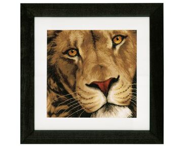 Borduurpakket Lanarte