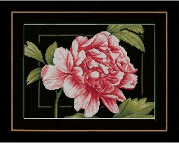 Borduurpakket Lanarte