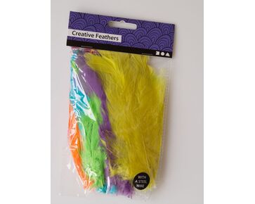 Gekleurde veertjes 18 stuks | hobbygigant.nl