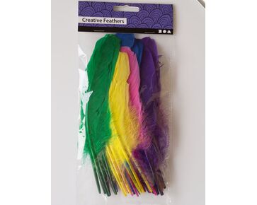 gekleurde veertjes | hobbygigant.nl