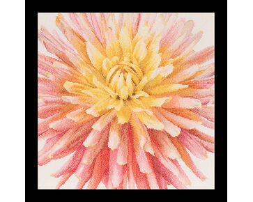 borduurpakket Thea Gouverneur