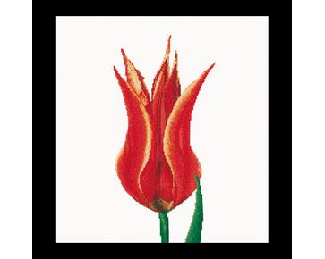 borduurpakket Thea Gouverneur