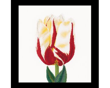 borduurpakket Thea Gouverneur