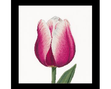 borduurpakket Thea Gouverneur