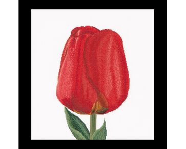 borduurpakket Thea Gouverneur