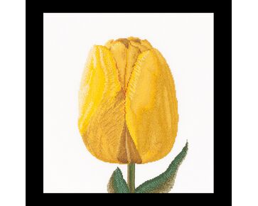 borduurpakket Thea Gouverneur