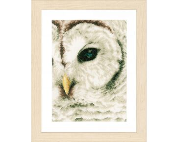 borduurpakket van LanArte