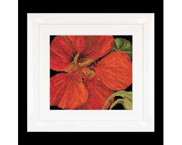 borduurpakket Thea Gouverneur