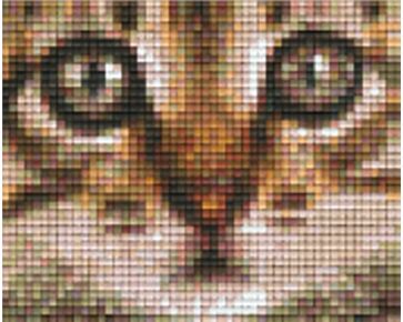 Kittenhoofd Pixelhobby