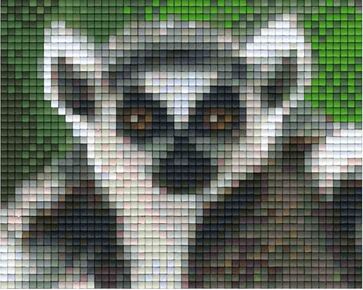 Ringstaart Pixelhobby