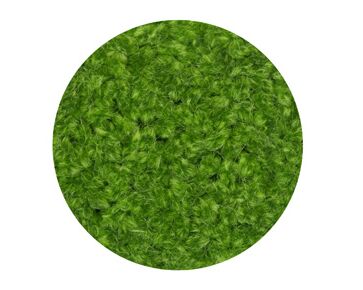 Vervaco Soedan cupje 763