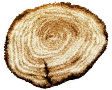 Boomstam knoopvormtapijt - Vervaco Knooppakket-HobbyGigant