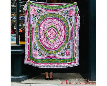 Scheepjes CAL 2020 de Histoire Naturelle - Mineralogie haakpakket | hobbygigant.nl