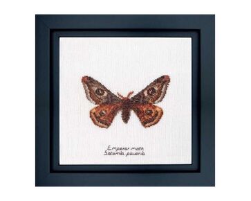 Emperor moth borduurpakket 562A - Thea Gouverneur telpatroon | HobbyGigant