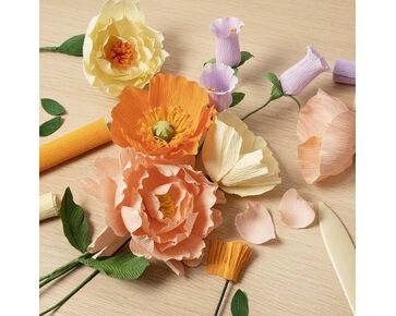 Crêpepapier startpakket bloemen - beginners | papieren bloemen | hobbygigant.nl