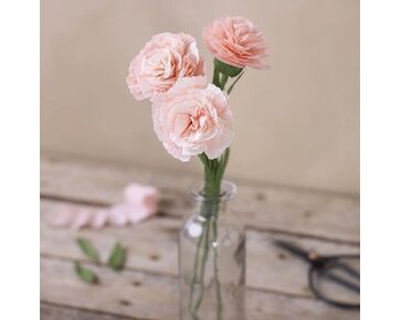 Mini hobbyset crêpepapier - Anjer | papieren bloemen | hobbygigant.nl