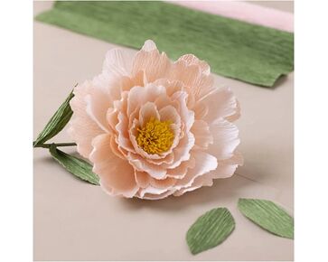 Mini hobbyset crêpepapier - Pioenroos | papieren bloemen | hobbygigant.nl