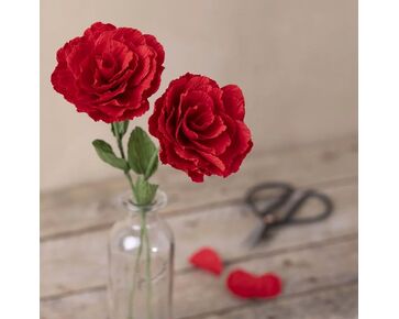 Mini hobbyset crêpepapier - Roos | papieren bloemen | hobbygigant.nl