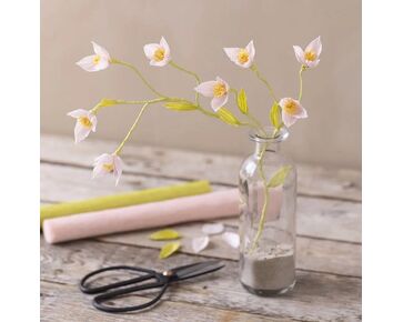 Mini hobbyset crêpepapier - Kersentak | papieren bloemen | hobbygigant.nl