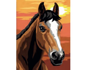 Paardenhoofd borduren - voorbedrukt borduurpakket beginner | borduurpakketten | hobbygigant.nl