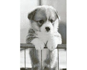 Puppy borduurpakket - kruissteek telpatroon - Marie Coeur | kruissteek borduren | hobbygigant.nl