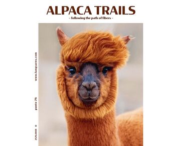 Punto 76 Alpaca Trails - Lang Yarns | alpaca garens | hobbygigant.nl