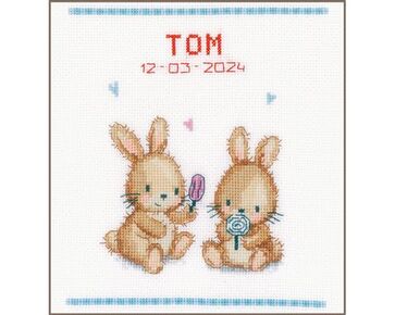 Ijsjesparty borduren - Vervaco borduurpakket | hobbygigant.nl