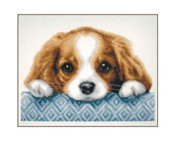 Hondje borduren - Vervaco borduurpakket | hobbygigant.nl