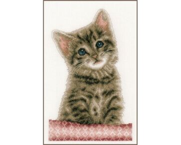 Kitten borduren - Vervaco borduurpakket | hobbygigant.nl