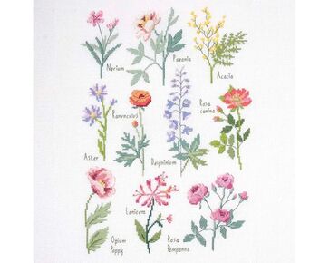 Botanisch borduren - DMC borduurpakket | hobbygigant.nl