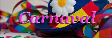 carnaval | hobbygigant.nl