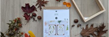 Knutselen voor de herfst top 4 | hobbygigant.nl