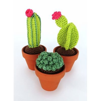 günstig bonsai kaufen Bonsai Anzuchtset kaufen ➤ Handmade & Plastikfrei